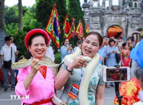 Rắn, trăn sống luôn là tâm điểm của Lễ hội làng Lệ Mật. (Ảnh: Khánh Hòa/TTXVN)