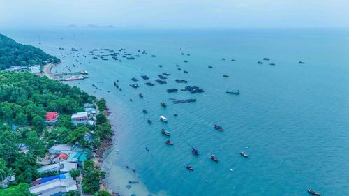 Hiện tại, toàn xã đảo Tiên Hải có hơn 500 hộ dân, có 100 hộ nuôi cá lồng bè, với hơn 160 lồng, trở thành nghề chính của dân xứ đảo. Ảnh: Thanh Liêm/TTXVN
