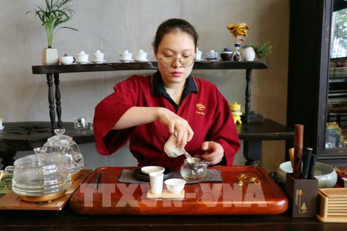 Trình diễn nghệ thuật pha trà tại Bảo tàng Trà Long Đỉnh (phường Xuân Trường - Đà Lạt, tỉnh Lâm Đồng). Ảnh: Nguyễn Thành – TTXVN