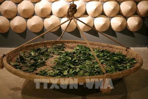 Không gian trưng bày giới thiệu công đoạn sản xuất trà trong Bảo tàng Trà Long Ðỉnh (phường Xuân Trường - Đà Lạt, tỉnh Lâm Đồng). Ảnh: Nguyễn Thành – TTXVN