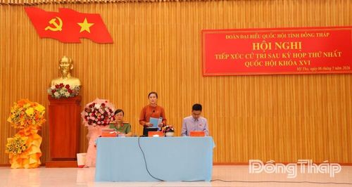 Đại biểu Đỗ Thị Thu Thảo phát biểu tại buổi tiếp xúc cử tri xã Mỹ Thọ.