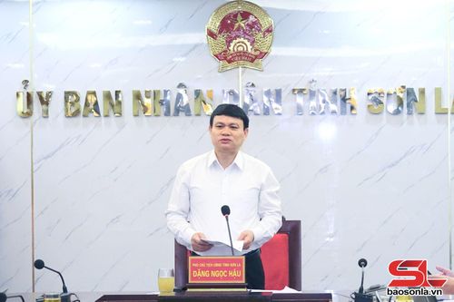 Đồng chí Phó Chủ tịch UBND tỉnh kết luận cuộc làm việc.