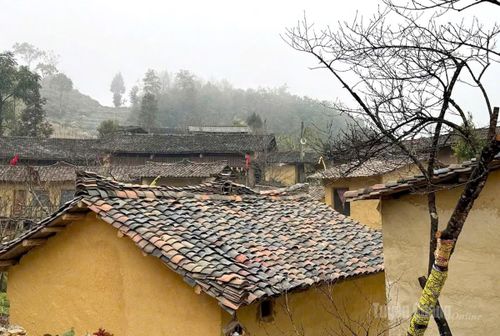 Những mái nhà lợp ngói âm dương.