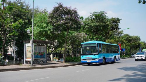 Cây xanh - điểm nhấn sinh động của đô thị Hà Nội. Ảnh: Phạm Mạnh
