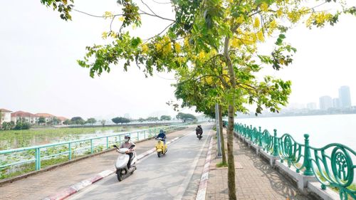 Những mùa hoa đang về. Ảnh: Phạm Mạnh
