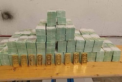 Số vàng và tiền mặt mà Hungary tịch thu của Ukraine hồi tháng 3. Ảnh: Chính phủ Hungary