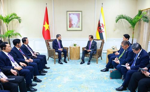 Thủ tướng Chính phủ Lê Minh Hưng gặp Quốc vương Brunei Haji Hassanal Bolkiah. Ảnh: Dương Giang – TTXVN