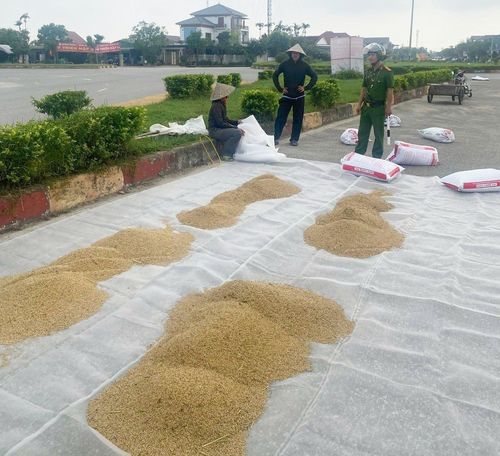 Hãy phơi thóc, lúa… đúng quy định để chung tay giữ gìn an toàn cho chính mình và cộng đồng.