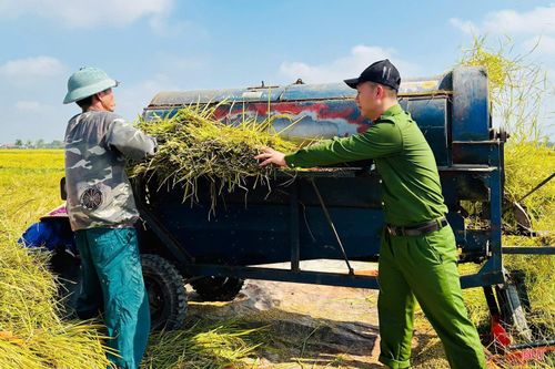 Lực lượng vũ trang ở xã Đồng Lộc còn hỗ trợ tuốt lúa tại chân ruộng, giúp người dân tiết kiệm thời gian và công sức vận chuyển.