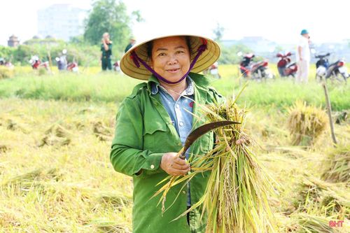 Bà Nguyễn Thị Hiếu ở thôn Ngụ Quế, xã Cẩm Bình chia sẻ: "Nhìn ruộng lúa đổ rạp, bị ngâm nước, tôi không khỏi lo lắng. Nhờ sự hỗ trợ kịp thời của các lực lượng trên địa bàn xã, nhiều diện tích lúa bị đổ ngã cơ bản thu hoạch xong trong buổi sáng, thiệt hại đã giảm đáng kể".