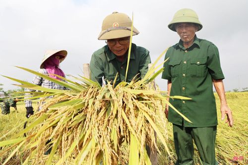 Để giúp người dân thu hoạch hơn 230 ha lúa xuân bị đổ ngã, trong 2 ngày qua, xã Cẩm Bình đã huy động các lực lượng ra quân hỗ trợ. Màu áo xanh của bộ đội, dân quân tự vệ, đoàn thanh niên, cựu chiến binh... tỏa khắp các xứ đồng để giúp đỡ bà con nhân dân.
