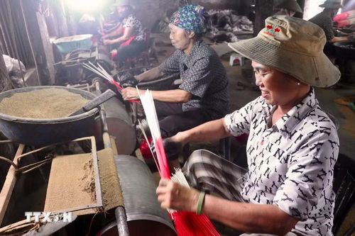 Các xưởng sản xuất ở Văn Quan đưa máy móc vào sản xuất nhằm giảm sức lao động, tăng năng suất cho sản phẩm hương đen. (Ảnh: Đinh Văn Nhiều/TTXVN)