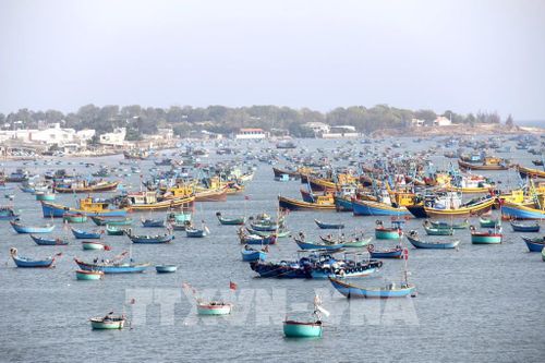 Tàu cá neo đậu tại bến Làng chài Mũi Né, phường Mũi Né (Lâm Đồng). Ảnh Hồng Hiếu - TTXVN