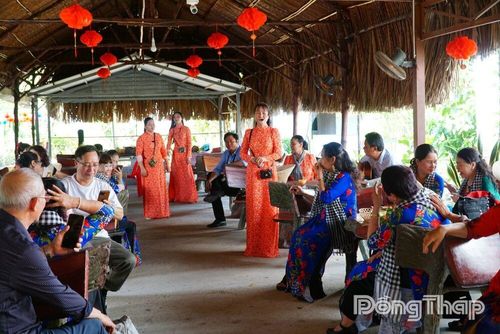 Biểu diễn đờn ca tài tử phục vụ du khách ở Cù lao Thới Sơn, góp phần gìn giữ và phát huy giá trị văn hóa Nam Bộ.