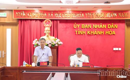 Phó Chủ tịch UBND tỉnh Trần Hòa Nam phát biểu tại buổi làm việc.