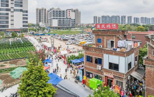 Bãi giữ xe mới được chính quyền địa phương bố trí gần tiệm lẩu gà để giảm áp lực cho quán. Ảnh: foshanplus.