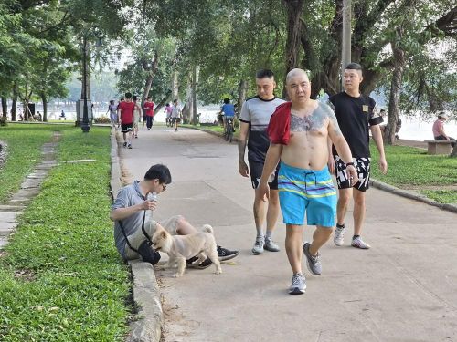 Việc chó thả rông, không rọ mõm thành hình ảnh "thường ngày" tại Công viên Thống Nhất
