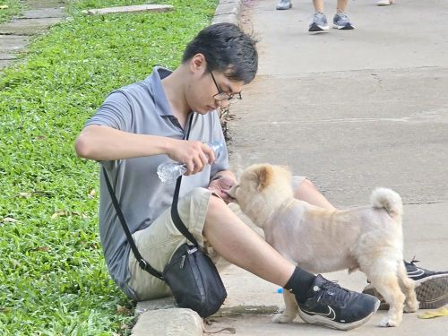 Tình yêu thú cưng cần đi đôi với trách nhiệm cộng đồng