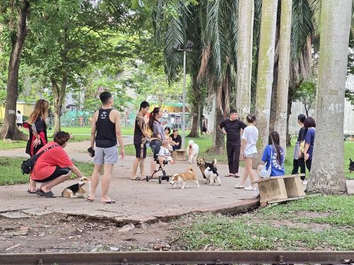 Một số người dân, đặc biệt là giới trẻ coi công viên là nơi khoe thú cưng