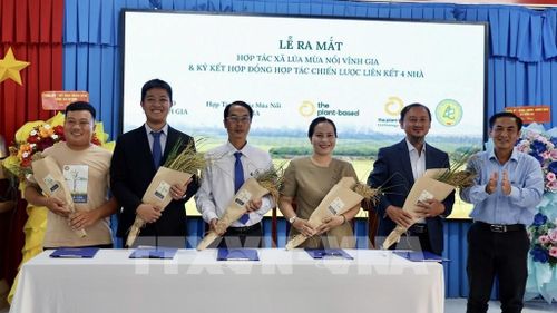 Các đơn vị ký kết hợp tác liên kết “4 nhà” nhằm bảo tồn, phát triển lúa mùa nổi Vĩnh Gia. Ảnh: Thanh Sang-TTXVN