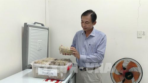 Trường Đại học An Giang nghiên cứu, bảo tồn nguồn gen lúa mùa nổi với hơn 600 giống, dòng lúa phục vụ phát triển nông nghiệp bền vững. Ảnh: Thanh Sang-TTXVN