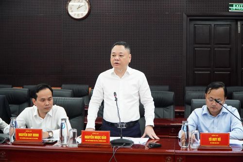 Phó Chủ nhiệm Ủy ban Kinh tế và Tài chính của Quốc hội Nguyễn Ngọc Bảo phát biểu kết luận buổi làm việc. Ảnh: VINH ANH