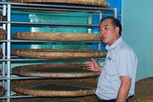 Nuôi tằm con trong phòng lạnh đạt hiệu quả cao tại HTX Sản xuất và Dịch vụ dâu tằm Đạ Pal