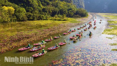Tác phẩm “Dòng sông hoa súng” tại Khu du lịch Tam Cốc - Bích Động của tác giả Trường Huy.