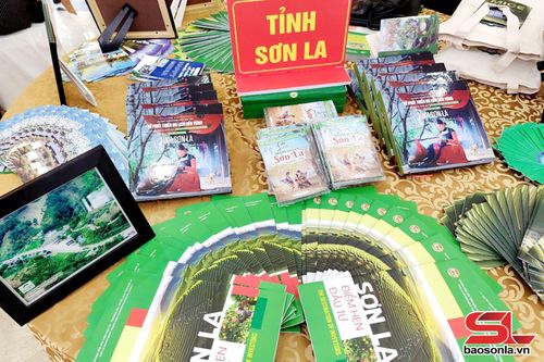 Trưng bày sách, ảnh, bản đồ du lịch của tỉnh Sơn La. 