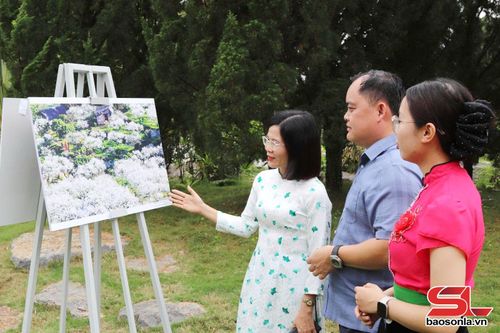 Các đại biểu tham quan ảnh đẹp du lịch Sơn La