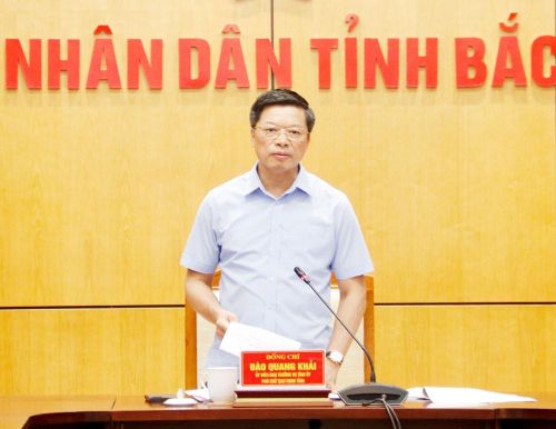Phó Chủ tịch UBND tỉnh Đào Quang Khải phát biểu kết luận hội nghị
