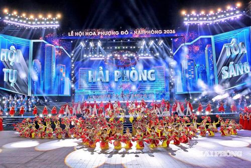 Hình ảnh hoa phượng được thể hiện ấn tượng.