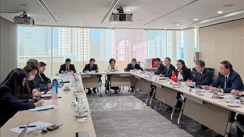 Đoàn Tòa án nhân dân tối cao làm việc tại Bộ Tư pháp Singapore. (Ảnh: TTXVN phát)