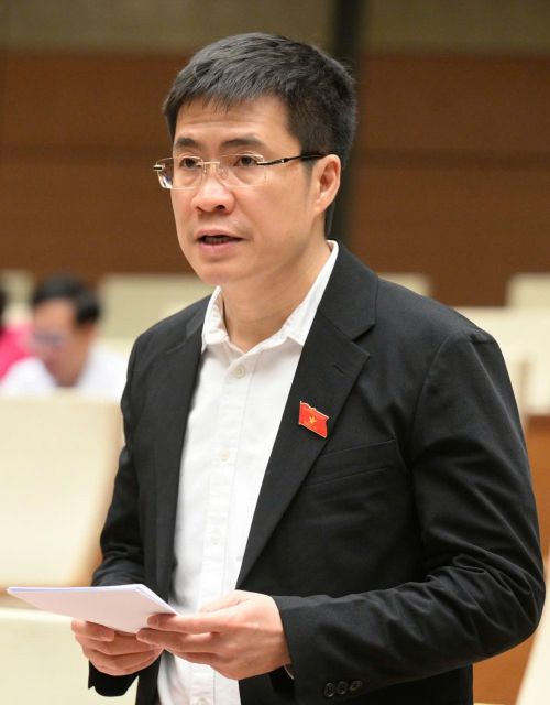 Đại biểu Quốc hội Hoàng Minh Hiếu.