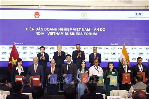 Tổng Bí thư, Chủ tịch nước Tô Lâm và Thủ hiến bang Maharashtra Devendra Fadnavis chứng kiến lễ trao các thỏa thuận hợp tác giữa hai nước. Ảnh: Thống Nhất/TTXVN