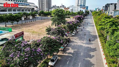 Những tuyến phố rợp bóng bằng lăng tím mang đến vẻ bình yên giữa nhịp sống hối hả của Hà Nội.