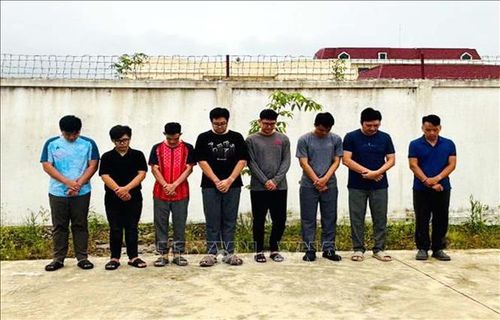 Các đối tượng bị lực lượng công an bắt giữ. Ảnh: Công Tường/TTXVN