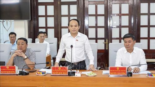 Tổng Thanh tra Chính phủ Nguyễn Quốc Đoàn phát biểu tại buổi làm việc.