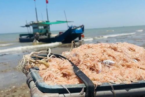 Du khách có thể hòa mình vào cuộc sống thường nhật của ngư dân làng chài và thưởng thức những hương vị tươi ngon của biển cả.