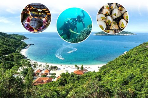 Đảo Cù Lao Chàm với hệ sinh thái biển đa dạng.