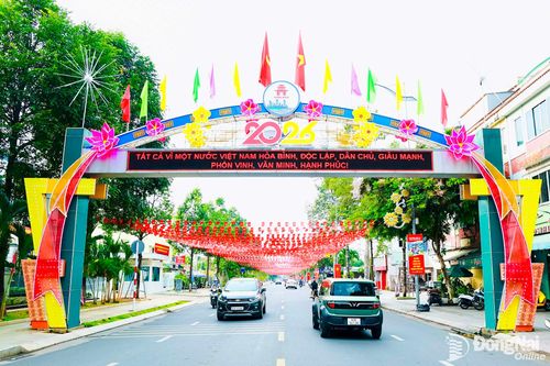 Một đoạn đường Hà Huy Giáp, phường Trấn Biên được trang hoàng chào mừng Đồng Nai lên thành phố. Ảnh: Công Nghĩa