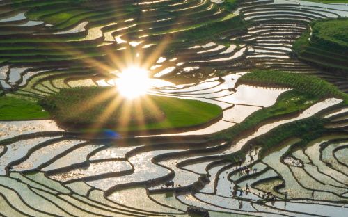 Mùa nước đổ tạo nên điểm nhấn đặc biệt khi du khách tới Mường Bo ngắm ruộng bậc thang.