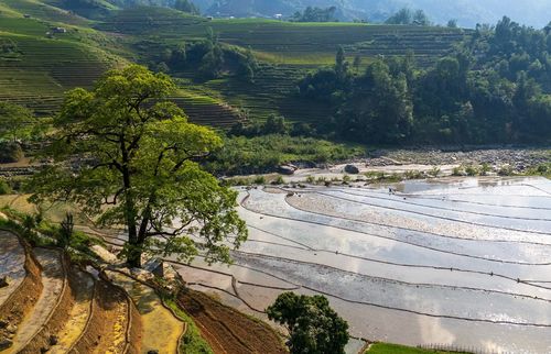 Để bắt trọn được khoảnh khắc này, du khách nên đến đây khoảng giữa tháng 5.