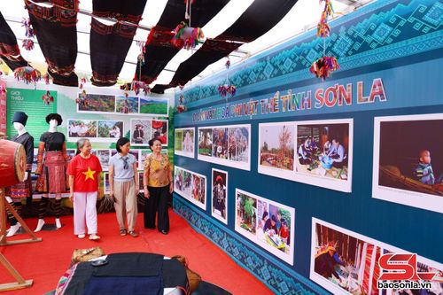 Không gian trưng bày triển lãm ảnh của tỉnh Sơn La.