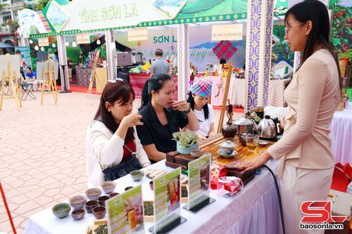 Du khách thưởng thức sản phẩm trà của Công ty TNHH Chè Mộc Sương.