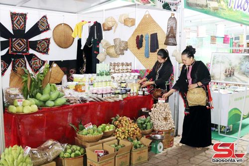 Gian hàng trưng bày sản phẩm OCOP của tỉnh Sơn La.