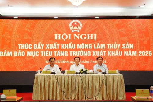 Phó Thủ tướng Hồ Quốc Dũng (giữa) dự và phát biểu chỉ đạo tại hội nghị Ảnh: Nguyễn Thủy