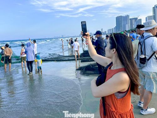 Lần đầu đến Đà Nẵng du lịch, chị Thu Hà (du khách Hà Nội) cho biết rất bất ngờ khi được tận mắt chứng kiến cảnh ngư dân kéo cá ngay trên bãi biển. “Mỗi lần ngư dân kéo lưới vào gần bờ đều khiến mọi người hồi hộp vì không biết mẻ lưới sẽ có những loại cá gì. Không khí rất vui, tiếng cười nói rộn ràng, ai cũng hào hứng phụ kéo lưới khiến tôi cảm nhận rõ nét cuộc sống lao động của ngư dân miền biển”, chị Hà chia sẻ.