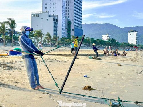 Ngư dân địa phương cho biết thời điểm này biển êm, nguồn hải sản gần bờ khá dồi dào nên hầu như mỗi mẻ lưới đều có cá mang về. Anh Hùng, một ngư dân tại khu vực biển Mân Thái cho hay, vào những ngày đông khách du lịch, không khí kéo lưới càng thêm nhộn nhịp. “Nhiều du khách đứng xem rất đông, có người còn hào hứng hỏi chuyện đi biển rồi mua cá tươi ngay tại bãi”, anh Hùng chia sẻ.