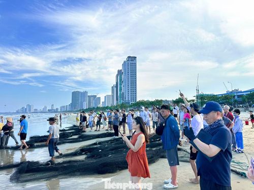 Nhiều du khách thích thú khi tận mắt chứng kiến những ngư dân phối hợp nhịp nhàng kéo những tay lưới dài từ ngoài khơi vào bờ.